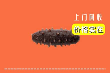 沧州孟村县回收海参