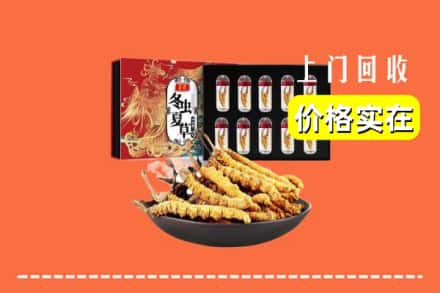沧州孟村县回收虫草