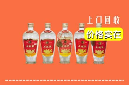 诚信求购:沧州孟村县高价回收老五粮液